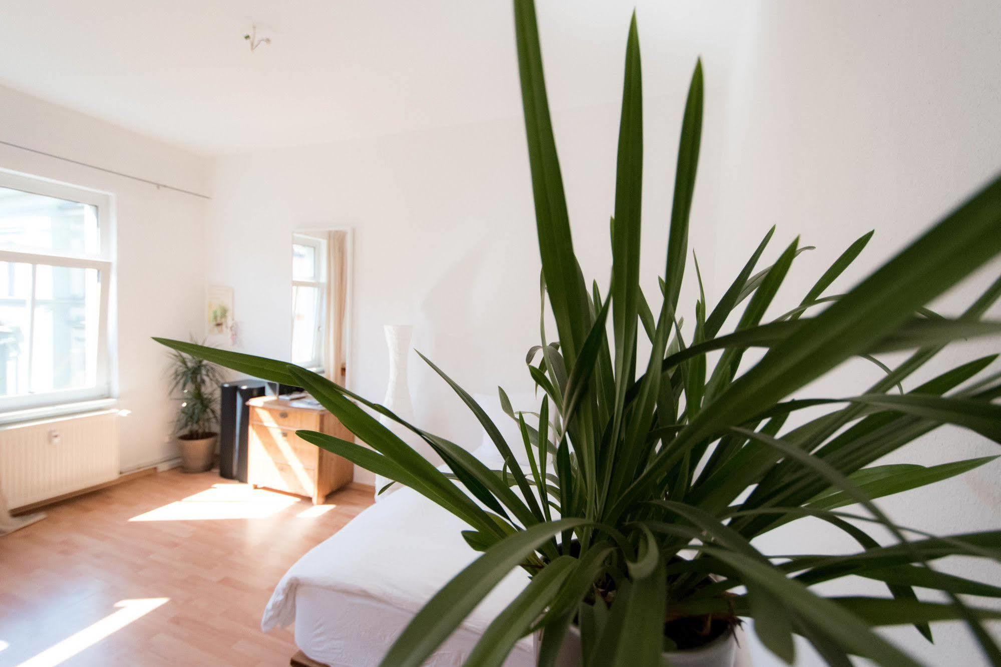 Wohnung Peter ワイマール エクステリア 写真